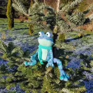 Heegeldatud mänguasi konn KROOKS