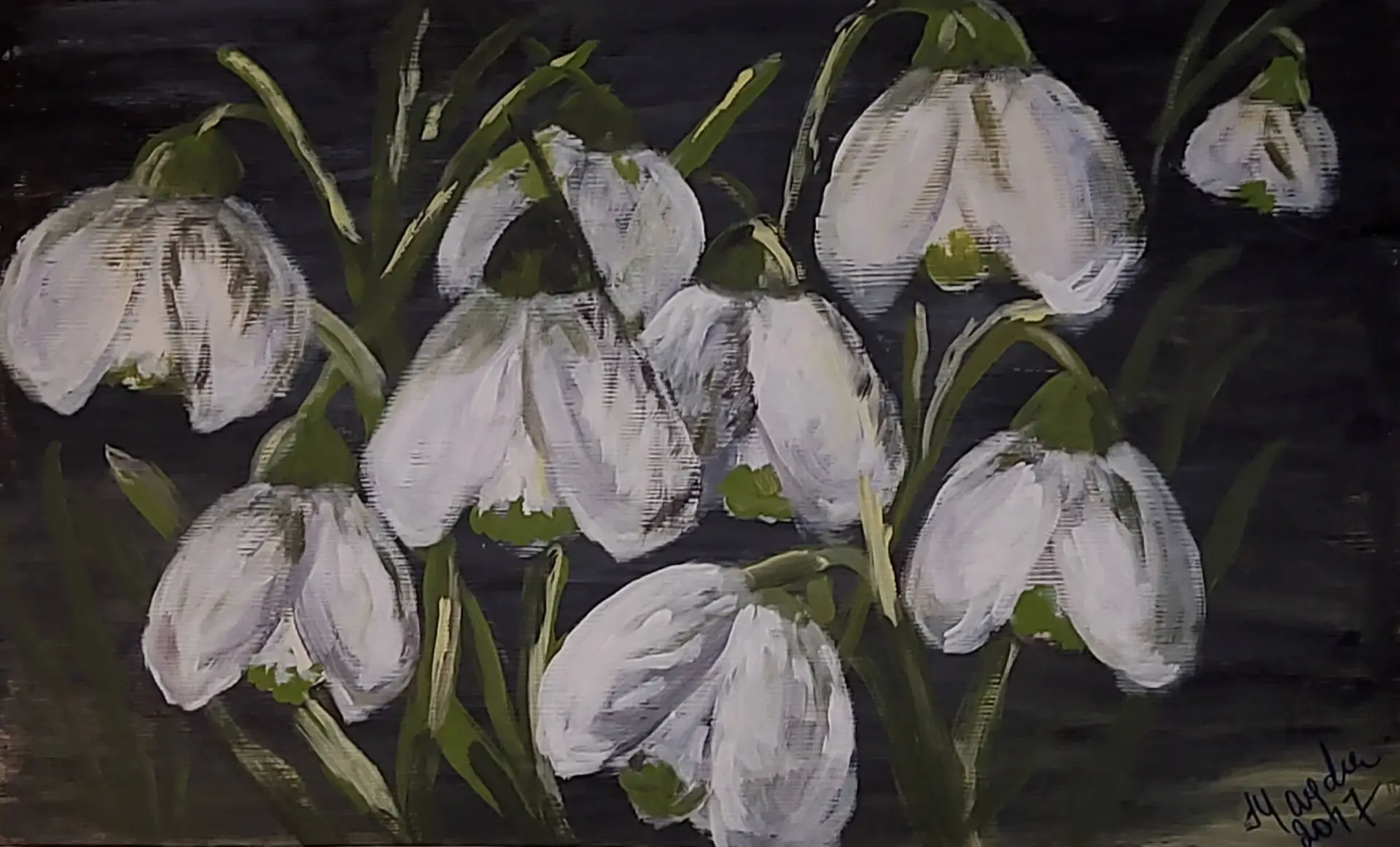 391-Acrylic painting Snowdrops 53 x 88 cm